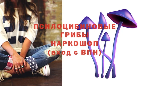 винт Абаза
